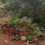 Apartman Luma 1 Hvar Town