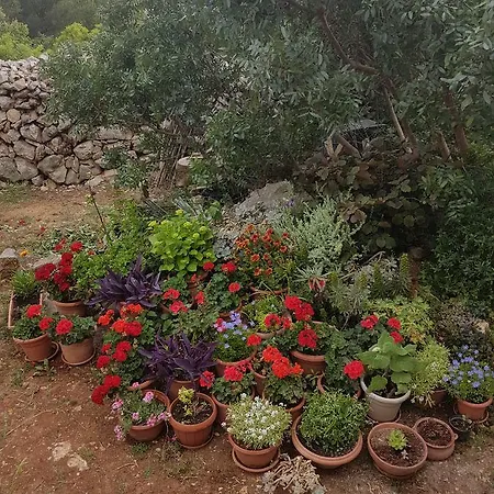 Lägenhet Luma 1 Hvar Town