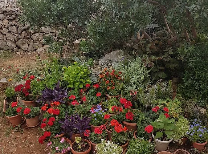 Appartamento Luma 1 Hvar Town